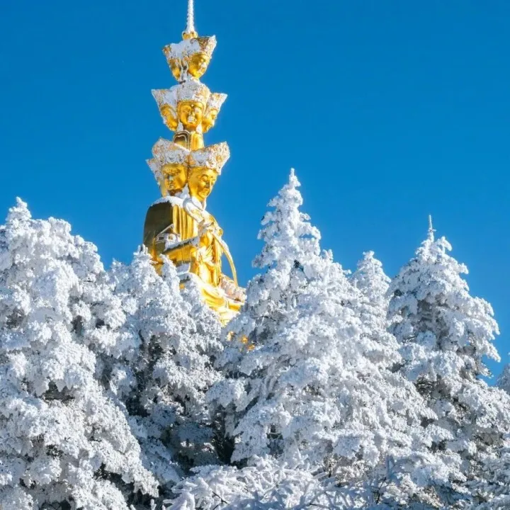 【2-6人私家团】三星堆＋峨眉＋乐山，中国人的终极逍遥，在四川！