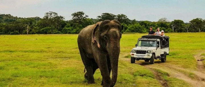 在斯里兰卡待了9天，朋友以为我环游了三大洲