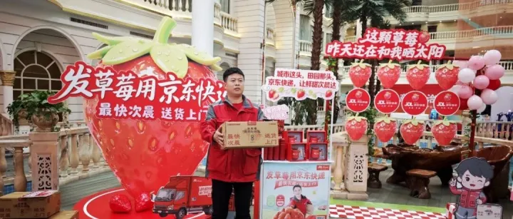 从东北到乌鲁木齐，买<em>丹东</em>草莓京东物流次日达！