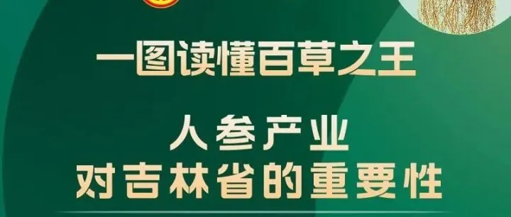 延边人参交易市场｜人参产业对吉林省的重要性