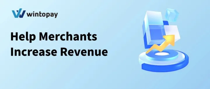 大促复盘｜如何让支付成功率突破 80%？独立站操盘手必知技巧！