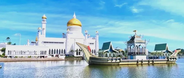 如何查询文莱公司的信用文件和信息？