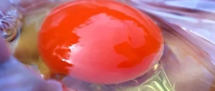 同样是鸡蛋，凭啥它的蛋黄这么“高级”？