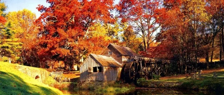 加拿大人赴美旅行持续下降，海外出行热度上升