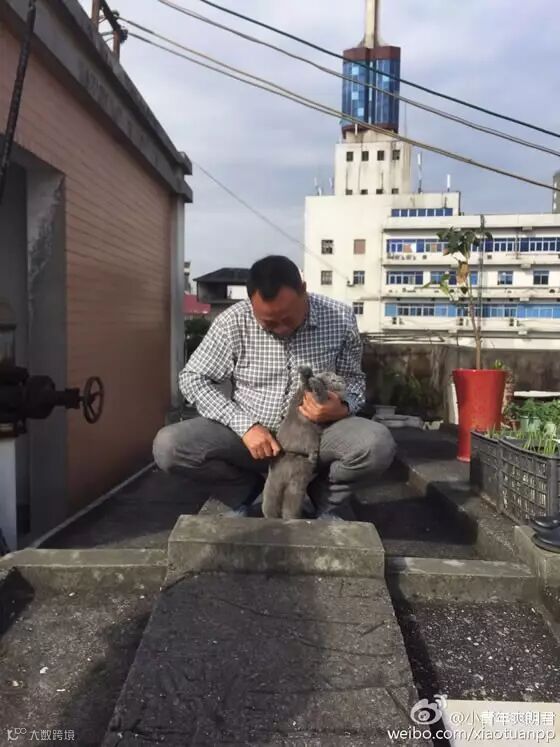 自从爹妈养了宠物,我在家里的地位一天不如一天……