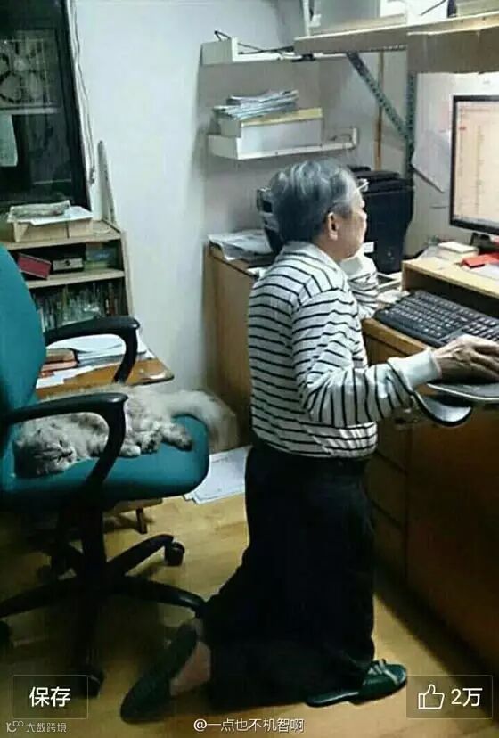 自从爹妈养了宠物,我在家里的地位一天不如一天……