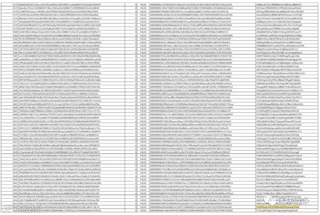 中本聪并没有出现,那真相是?