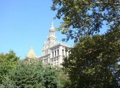 为什么要移民美国