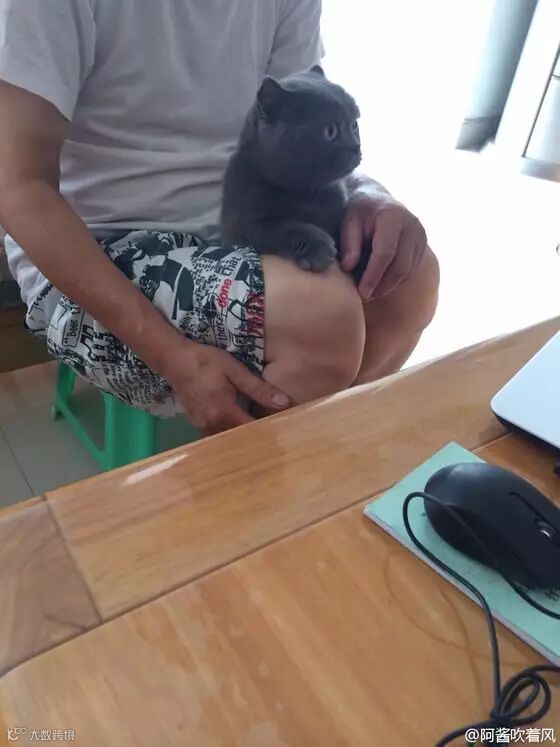 自从爹妈养了宠物,我在家里的地位一天不如一天……