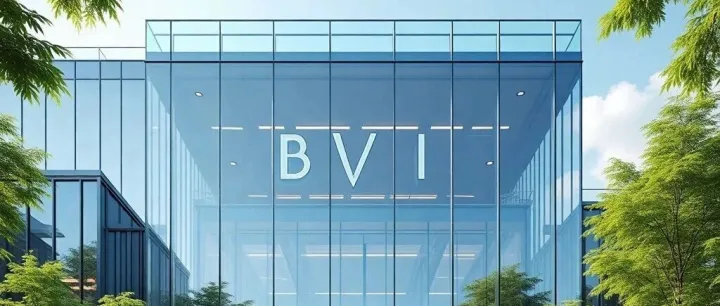 一文整明白BVI群岛公司注册+对公开户（可代办）