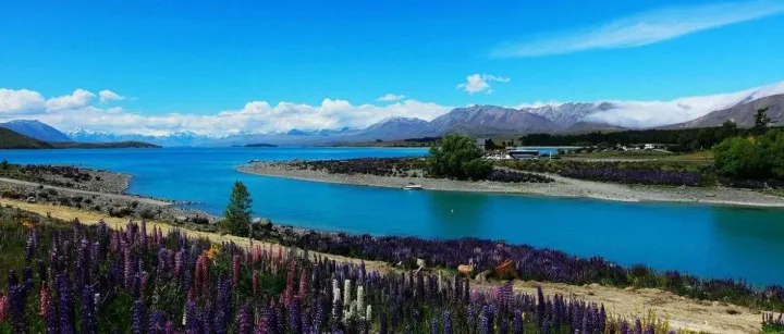 新西兰五年多次简化办理，澳新签证一份资料办理两个国家！