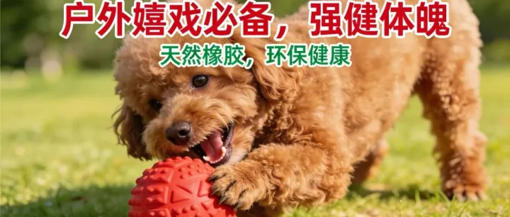 亚马逊宠物玩具选品：“互动 + 安全” 爆款打造逻辑