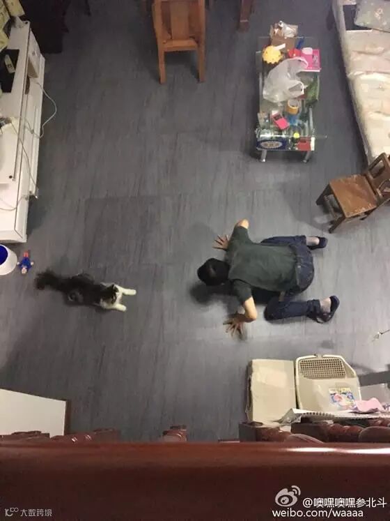 自从爹妈养了宠物,我在家里的地位一天不如一天……