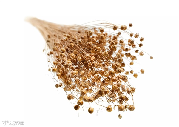 宝马研发新材料：性能媲美碳纤维 碳排放减少40%