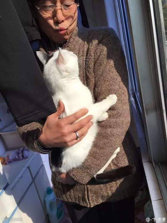 自从爹妈养了宠物,我在家里的地位一天不如一天……