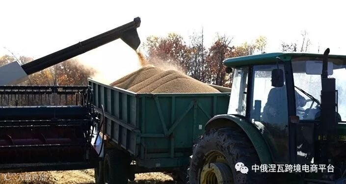 俄农业部:俄方计划2025年前每年对华出口大豆370万吨