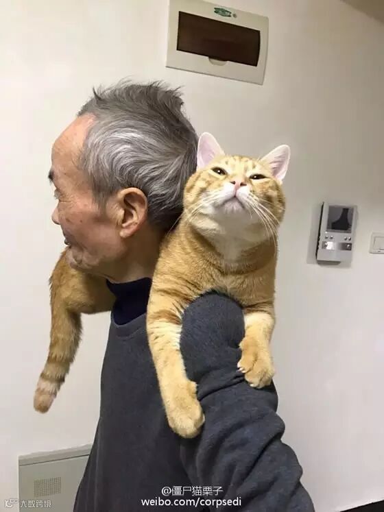 自从爹妈养了宠物,我在家里的地位一天不如一天……