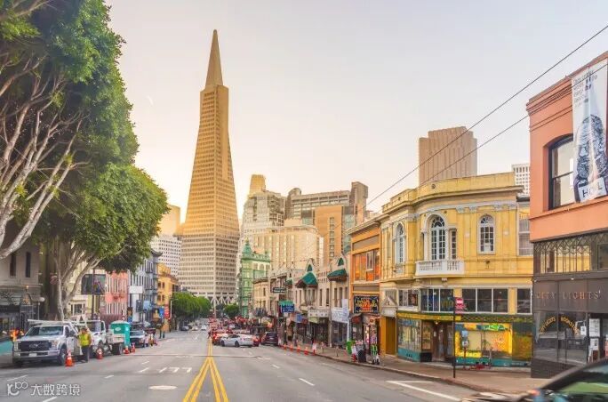 教师移民 教育影响力