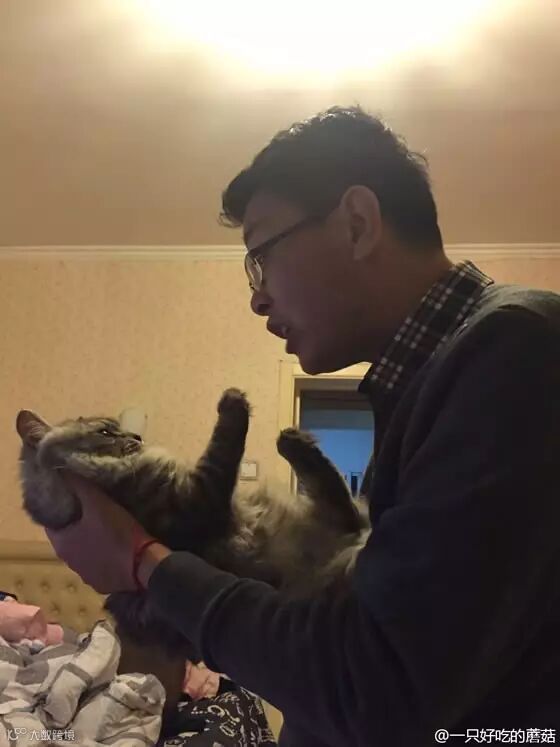 自从爹妈养了宠物,我在家里的地位一天不如一天……