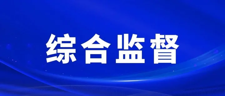 尹畅带队到分公司开展2025年度综合监督检查