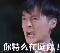 自从爹妈养了宠物,我在家里的地位一天不如一天……