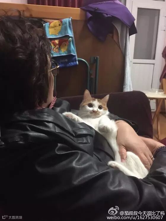 自从爹妈养了宠物,我在家里的地位一天不如一天……