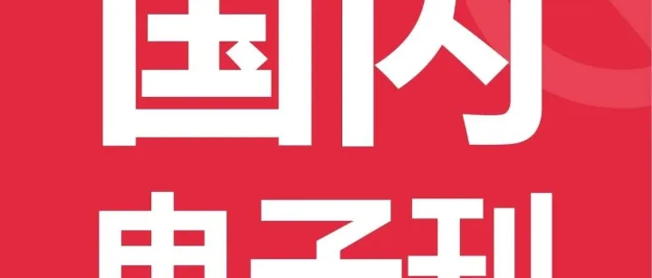 国内《瑞丰商情》电子刊