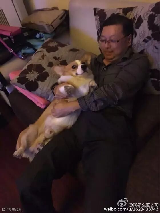 自从爹妈养了宠物,我在家里的地位一天不如一天……