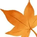 快讯：2026年全球十大退休养老国家出炉