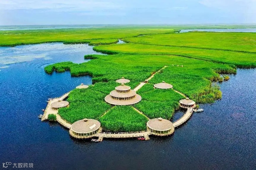 航拍新疆巴州博湖县莲海世界。年磊 摄