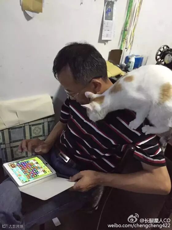 自从爹妈养了宠物,我在家里的地位一天不如一天……