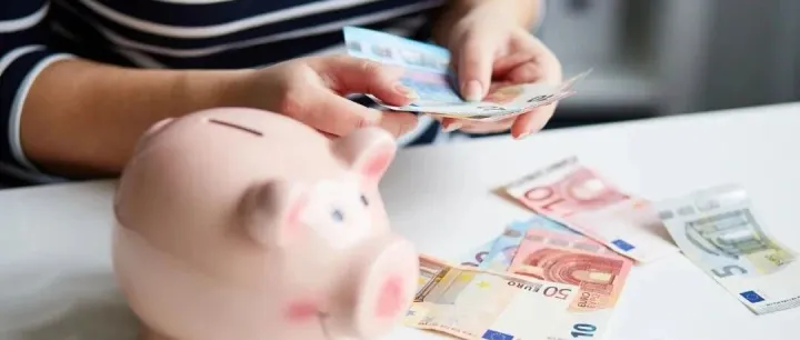 <em>德国</em>生活｜看看<em>德国</em><em>家庭</em>的「月度开销账单」