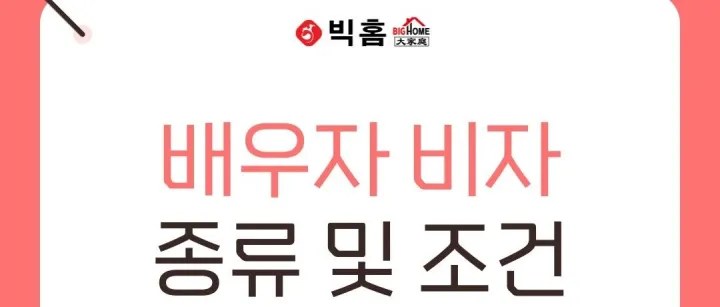 배우<em>자</em> 비<em>자</em>의 종류