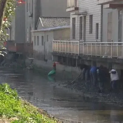 龙虬镇立即<em>整改</em>！