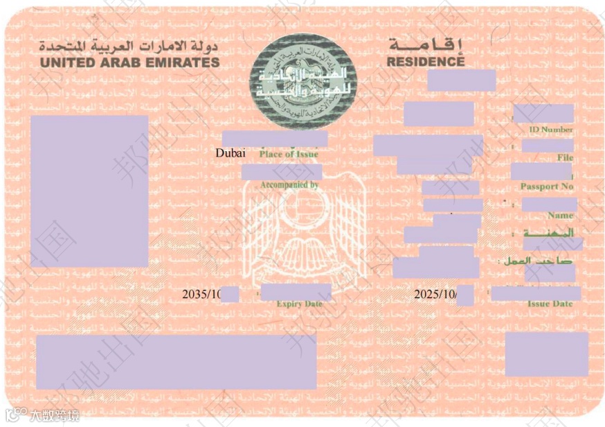 迪拜2025年10月案例.png