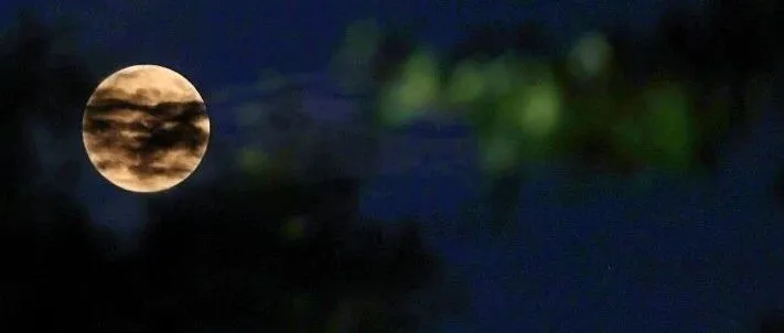 2025<em>最后</em><em>一次</em>，就在今晚！