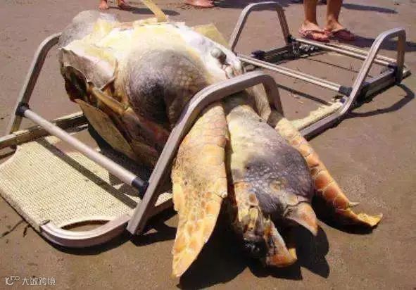 1562493363645058.jpg?x-oss-process=style/w10