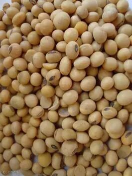 转基因食品管理办法【贤集网论文】