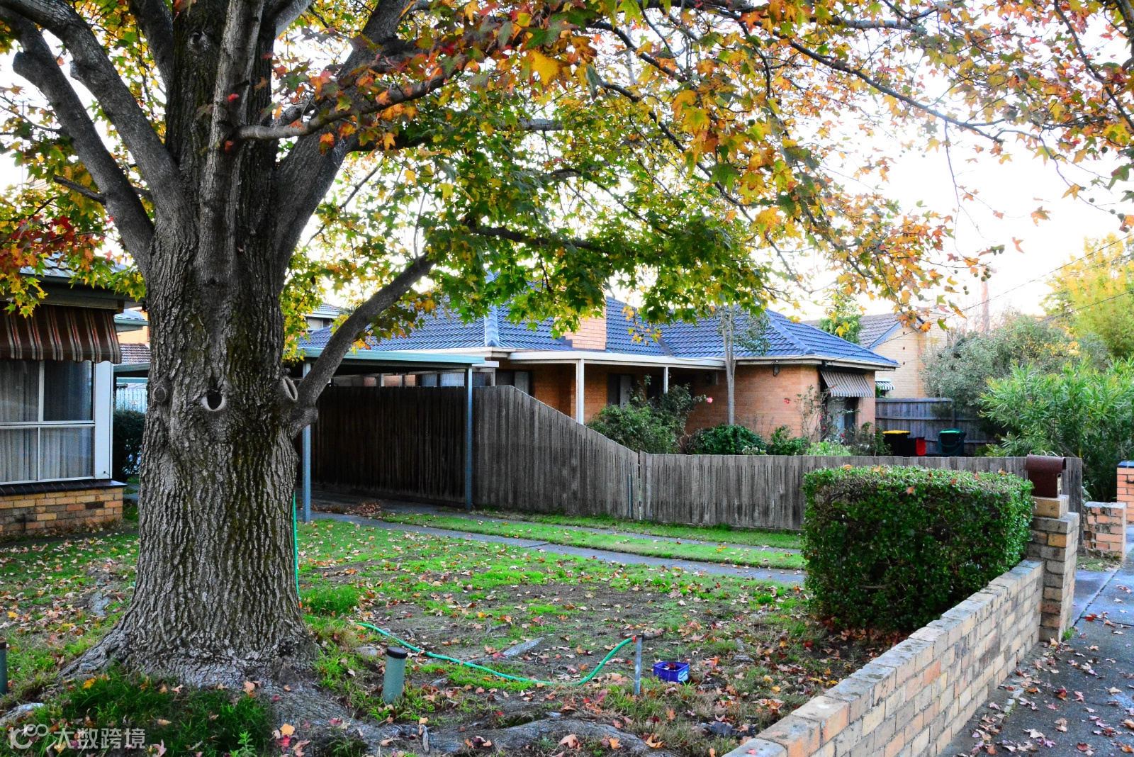 墨尔本杂记(二)