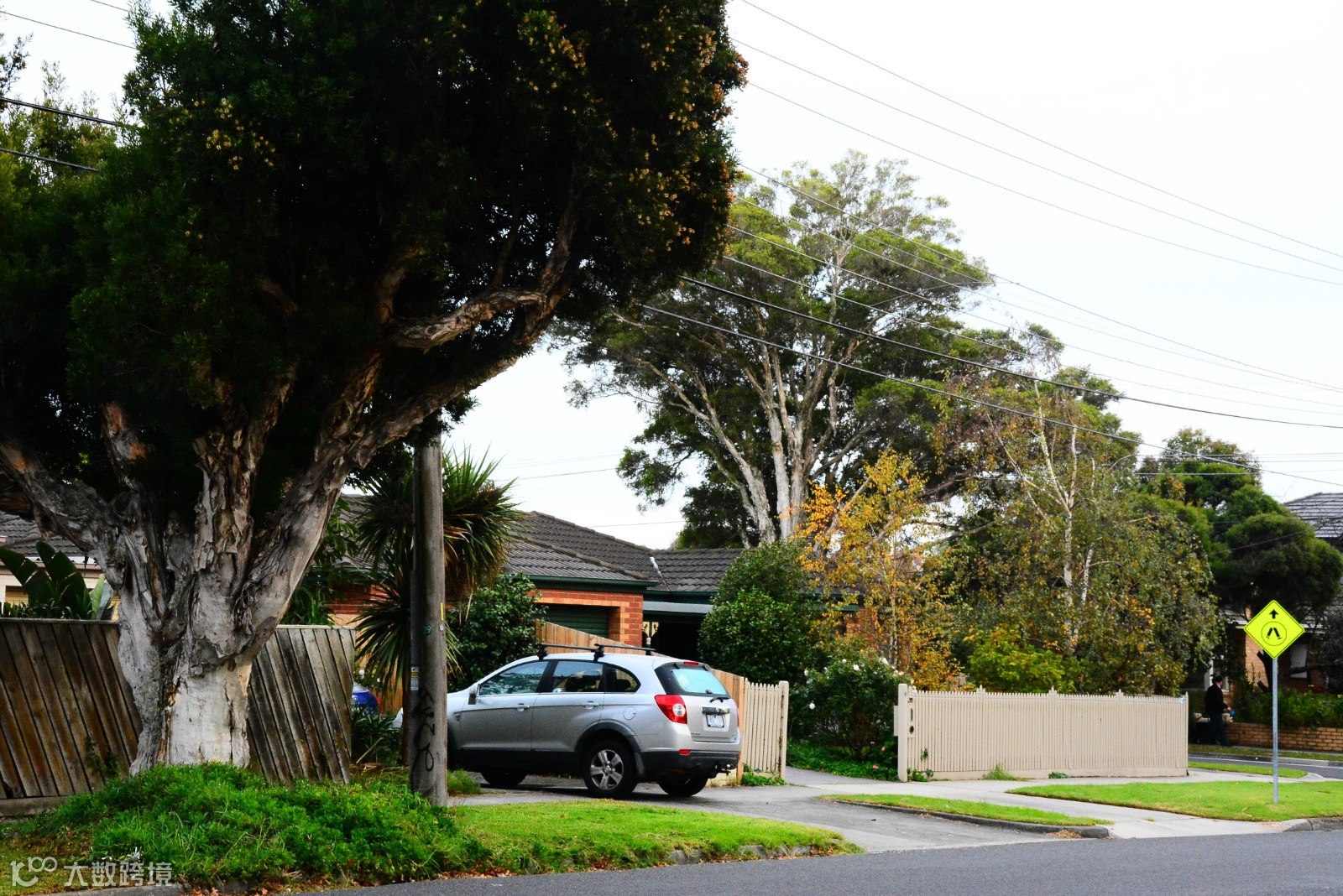 墨尔本杂记(二)