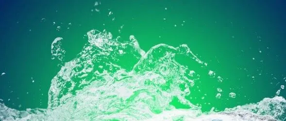 水产研究|黄河裸裂尻鱼资源保护与开发利用研究进展