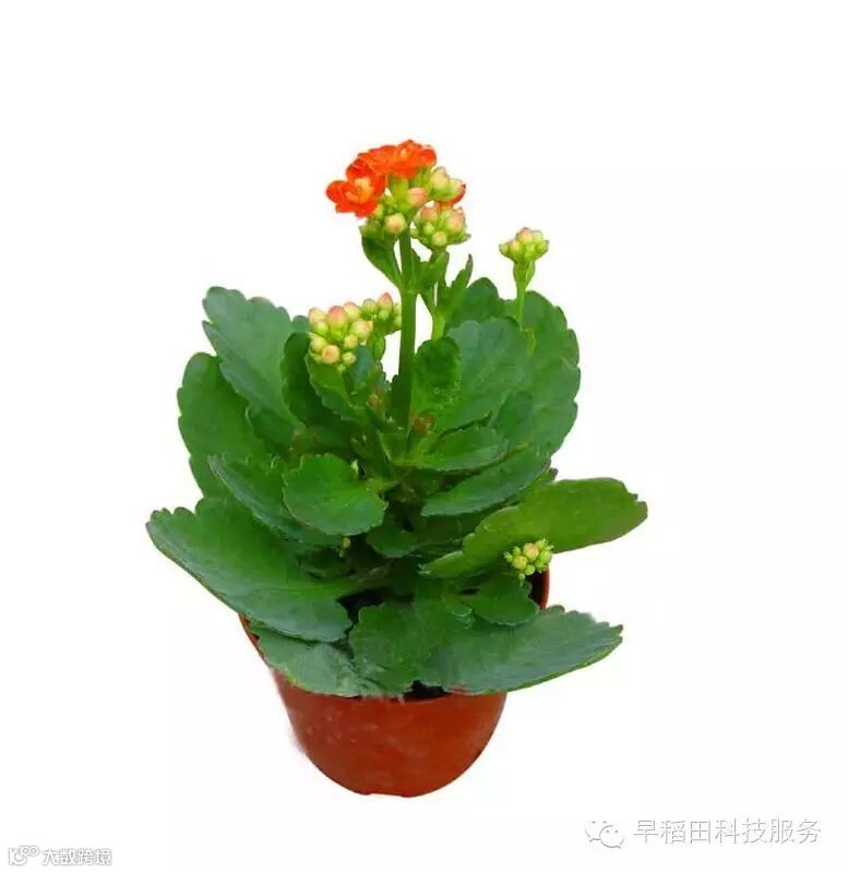 点击查看源网页