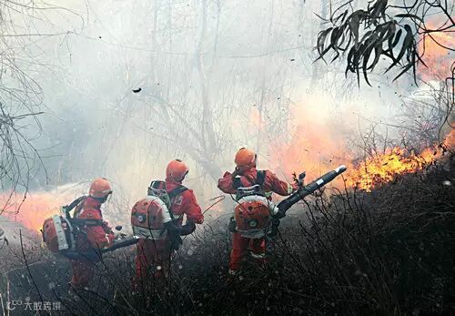森林防火应急措施