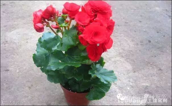 点击查看源网页