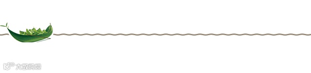 端午节 划龙舟分割线