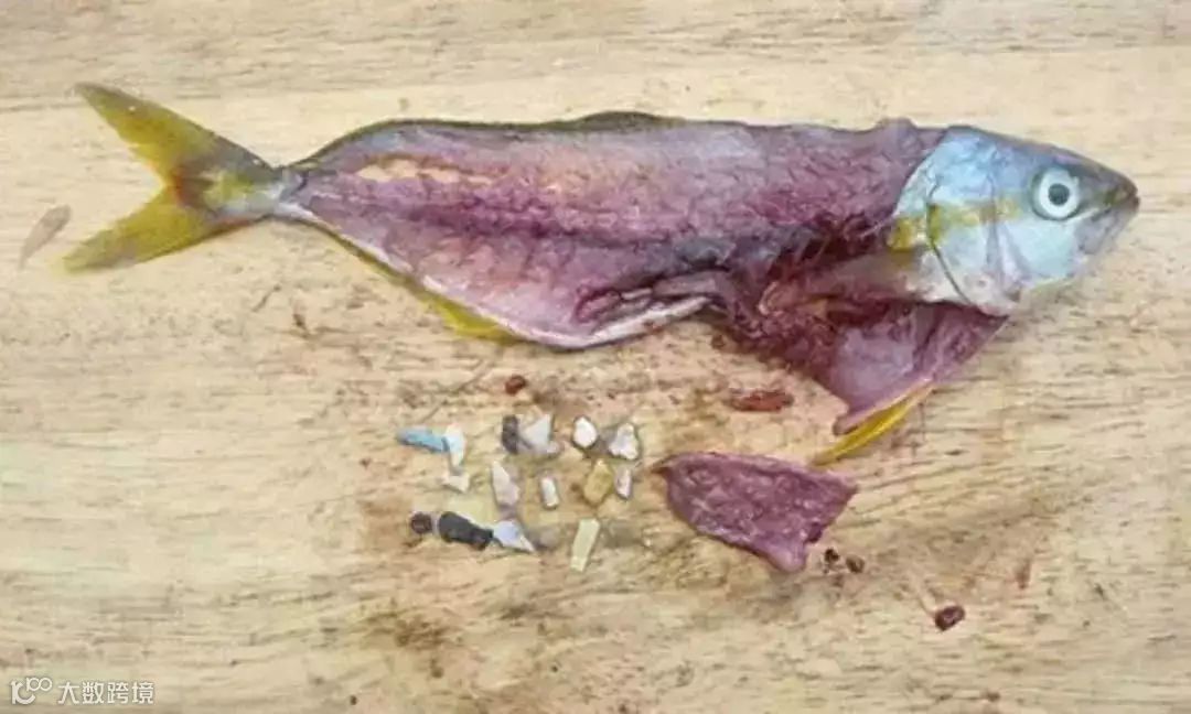 1562493418272856.jpg?x-oss-process=style/w10