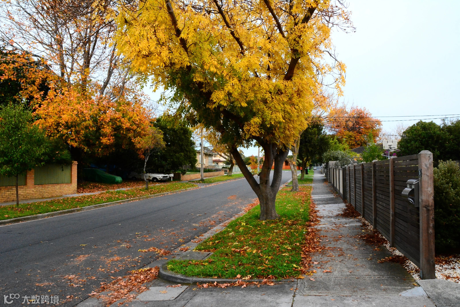 墨尔本杂记(二)