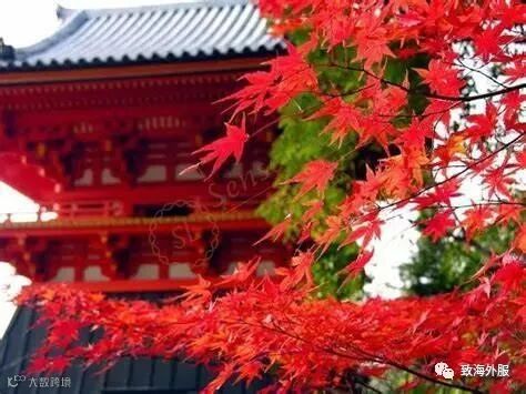 北海道赏枫的最佳地点