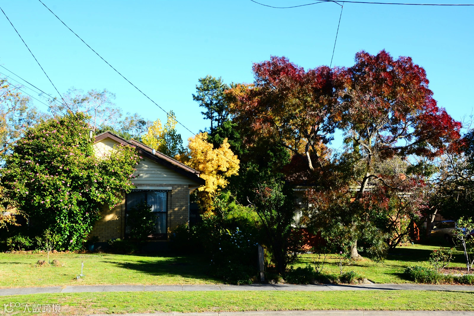 墨尔本杂记(二)