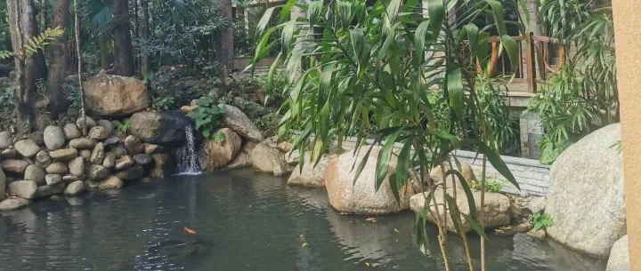 国家电投六娃之一电投能源